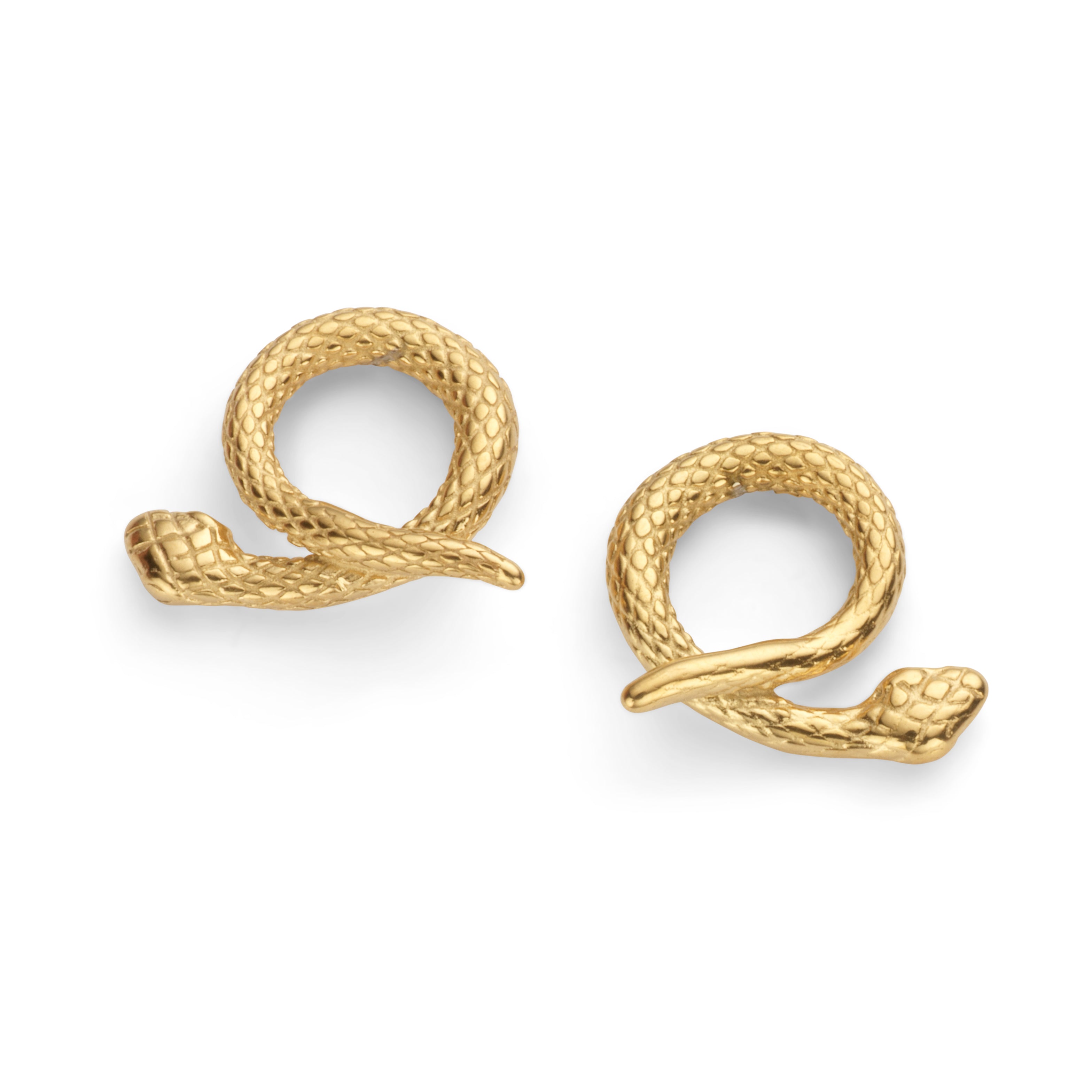 Boucles d'oreilles Boana